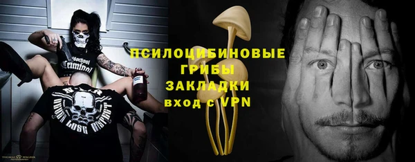 ПСИЛОЦИБИНОВЫЕ ГРИБЫ Мегион