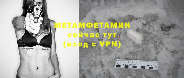 сатива Медногорск