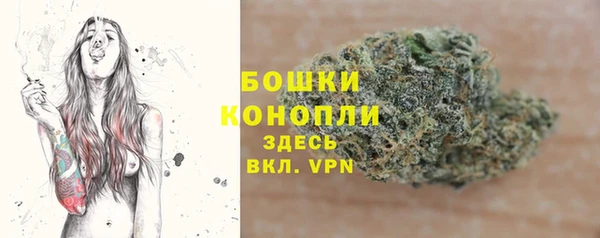 сатива Медногорск