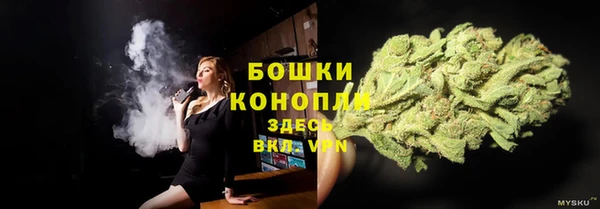 сатива Медногорск