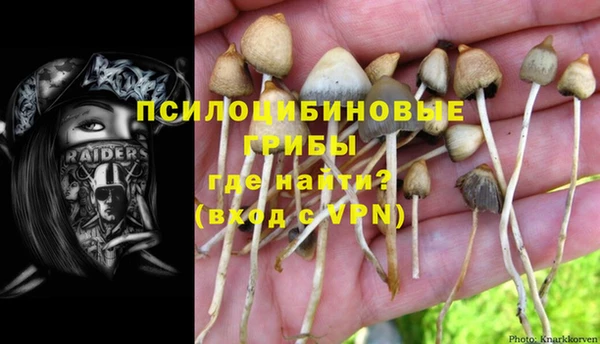 ПСИЛОЦИБИНОВЫЕ ГРИБЫ Мегион