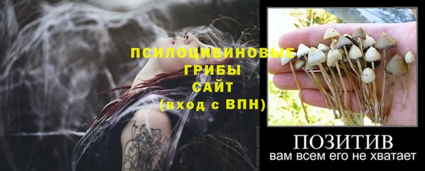 ПСИЛОЦИБИНОВЫЕ ГРИБЫ Мегион