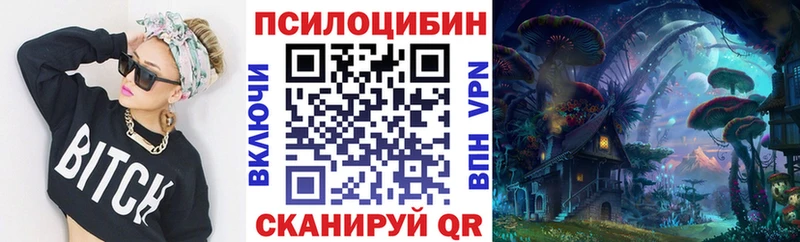 Купить  Ртищево  Галлюциногенные грибы прущие грибы 