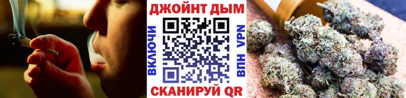 Бошки марихуана сатива  Купить закладки  Ртищево 